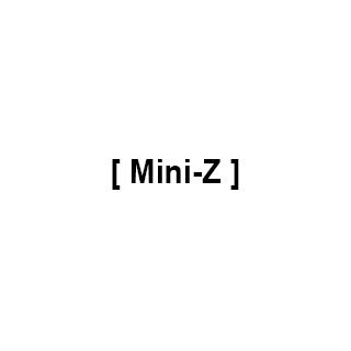 Mini-Z