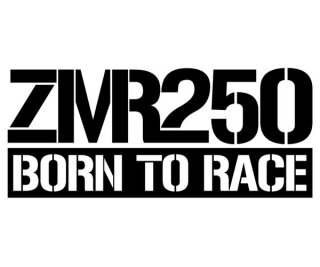 mobo-racing RC-Aufkleber Decal Sticker ZMR250 Born to Race S - geplottet
