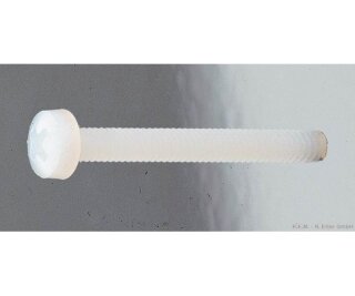 mobo-racing 010768 Nylon Linsenschraube mit Kreuzschlitz M4 x 40 (10 St.)