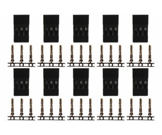 Amass AM-621-10F Goldkontakt - kompatibel mit JR - 10 Buchsen
