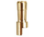 Amass AM-610-1M Goldkontakt - Ø5,5mm - 1 Stecker