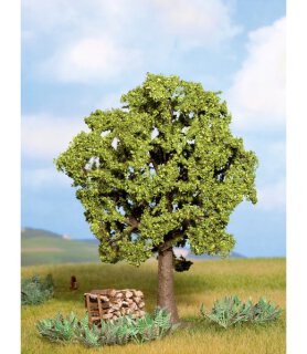 NOCH 21690 Hainbuche Spur H0 TT N