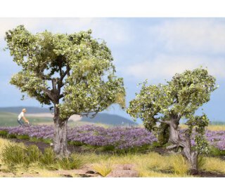 NOCH 21995 Olivenbäume Spur H0 TT