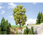 NOCH 21781 Linde, 18,5 cm hoch Spur H0 0