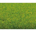 Noch 00010 Grasmatte "Frühlingswiese" 200cm x 100cm 2m²"