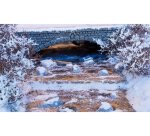 NOCH 08754 Eiskristall-Paste 30ml