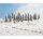NOCH 26828 Schneetannen (25Stk) Spur H0 TT