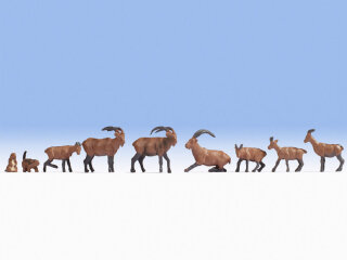 NOCH 15742 Alpentiere Spur H0