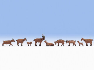 NOCH 15752 Ziegen Spur H0