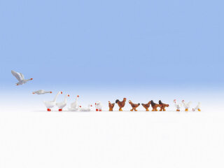 NOCH 15772 Hühner und Gänse Spur H0