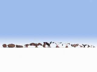 NOCH 15775 Vögel Spur H0