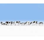 NOCH 15721 Kühe, schwarz-weiß Spur H0