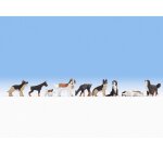 NOCH 36717 Hunde Spur N