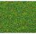 Faller 170710 Streumaterial, Blumenwiese, 30g