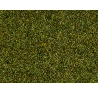 NOCH 07117 Wildgras "Wiese" 50g"