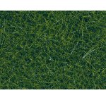 NOCH 07120 Wildgras 20g