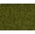 NOCH 08361 Streugras Wiese 20g
