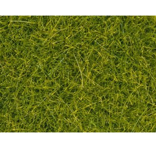 NOCH 08363 Streugras hellgrün 20g