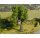 NOCH 21766 Baum mit Baumhaus  Spurweite N