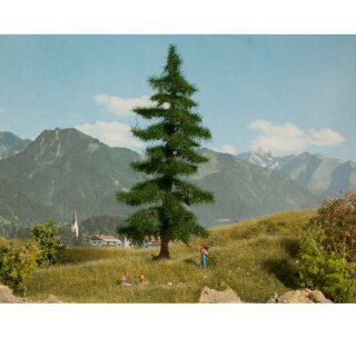 NOCH 21812 Nordmanntanne Spur H0 TT 0