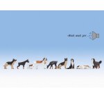 NOCH 12852 Hunde Spur H0