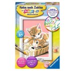Ravensburger 29686 Katzenbabys
