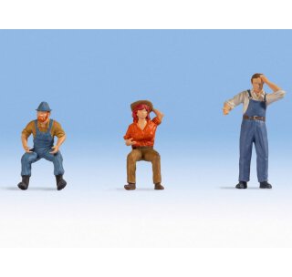 NOCH 17841 Traktorfahrer Spur 0