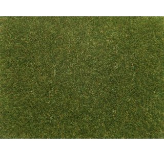 NOCH 08364 Streugras Mittelgrün 4mm 20g