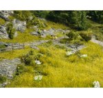 NOCH 07473 Natur+ "Heide"