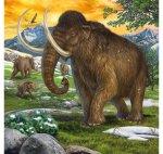 Ravensburger 09358 Herrscher der Uhrzeit Teileanzahl 3X49