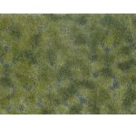 OCH 07250 Bodendecker-Foliage mittelgrün
