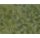 OCH 07250 Bodendecker-Foliage mittelgrün