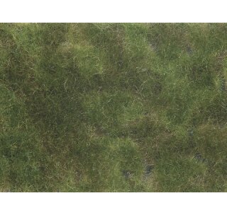 NOCH 07250 Bodendecker-Foliage olivgrün