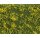 NOCH 07255 Bodendecker-Foliage Wiese gelb