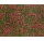 NOCH 07257 Bodendecker-Foliage Wiese rot