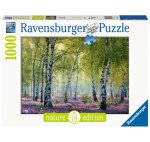 Ravensburger 16753 Puzzle Birkenwald - Teileanzahl 1000
