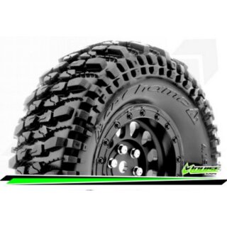LOUISE CR-Champ 1.9 Class1 Supersoft Felge Schwarz12MM