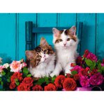 Ravensburger 16993 Puzzle Katzenbabys - 500Teile