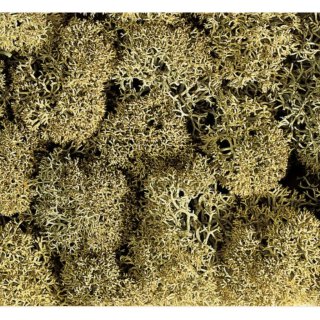 ZITERDES 6012180 Basing & Battleground Dekormoos, steingrau