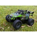 DF-Models 3131 Mountain Race Champion Truck 1:18 RTR