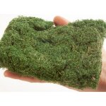 Noch 07310 PROFI Buschwerk mittelgrün 40g