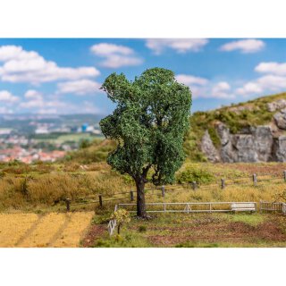 Faller 181704 Akazie Spurweite TT N H0