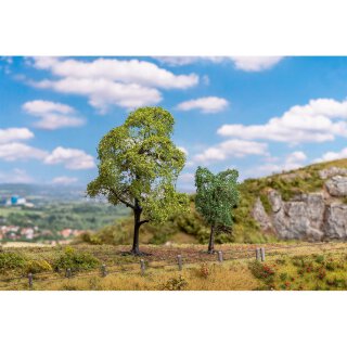 Faller 181800 Weißbuche und Bergahorn Spurweite TT N H0