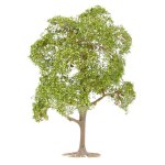 Faller 181801 Linde und Elsbeere Spurweite TT N H0