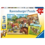 Ravensburger 09237 Puzzle Mein Reiterhof Teileanzahl 3x49