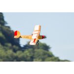 Aeronaut 133300 Udet Flamingo