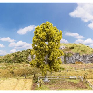 Faller 181571 Birke Spurweite H0