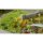 NOCH 06800 Blumen Spurweite:	H0, TT, N, Z, 0, 1, G, H0m, H0e
