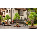 NOCH 21538 Junge Bäume mit Baumstützen Spur H0,TT