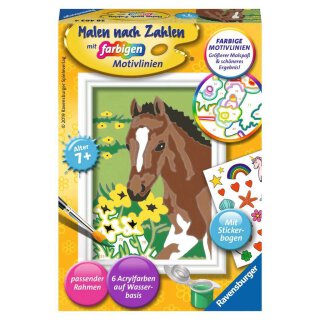 Ravensburger 28463 Malen nach Zahlen Fohlen